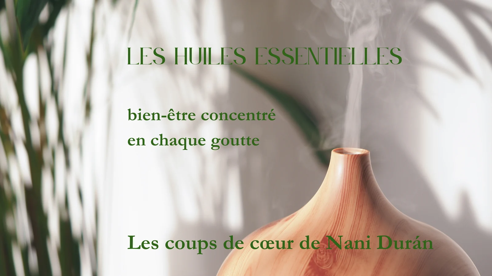 Diffuseur d’huiles essentielles diffusant de la vapeur près d’une plante — « Les coups de cœur de Nani Duran »