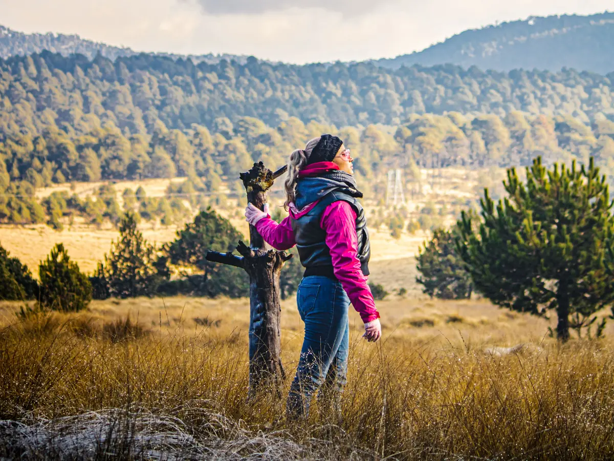 Personne avec son chien en pleine nature à l’automne